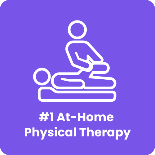 #1 At-Home Physical Therapy